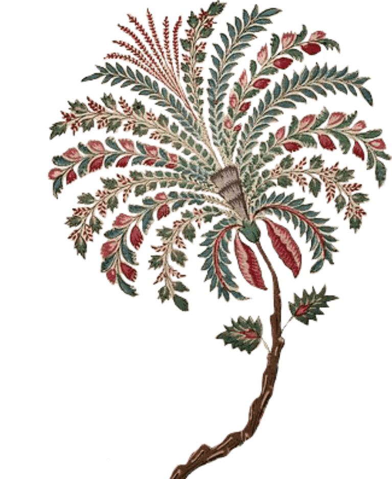 grpahic elements263 (1) (1)