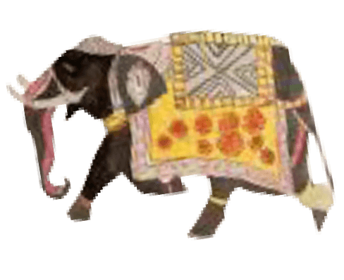 grpahic elements22 (1)