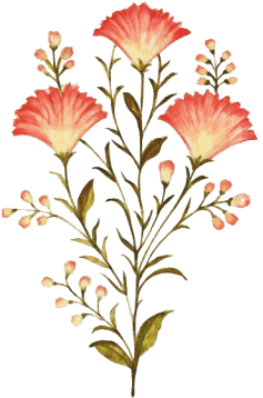 grpahic elements9 (1)